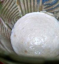 Mengetes Keaktifan Ragi